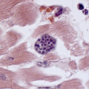 Case308_D.jpg Figure D