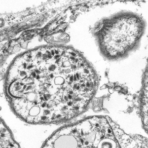 Case308_E.jpg Figure E