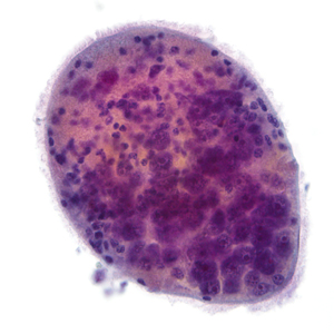 Case324_F.jpg Figure F