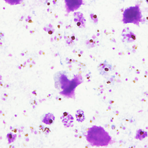 Case357_C.jpg Figure C