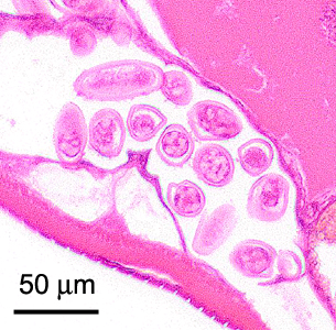 Case400_E.jpg Figure E