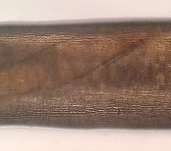 Case412_C.jpg Figure C