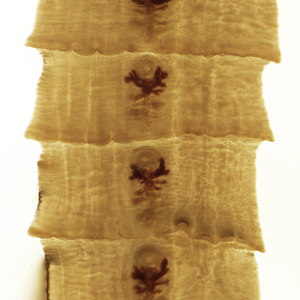 Case466_B Parasitic image