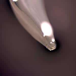 Toxocara_worm2_anterior.jpg Figure C: Close-up of the anterior end of <em>Toxocara cati</em>, showing the three lips characteristic of ascarid worms.