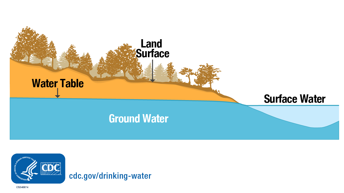Illustration of ground water beneath the earth and surface water at the level of the land's surface.