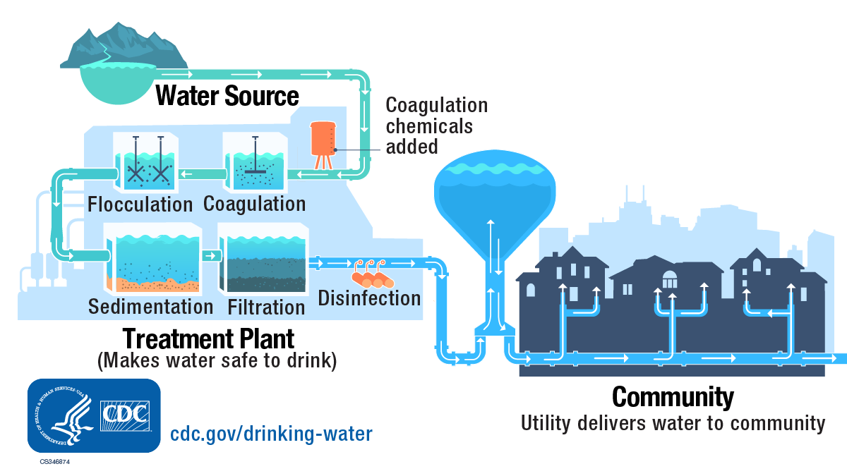Graphic showing the flow of drinking water from its source in a reservoir to a water treatment plant, where the utility makes the water safe to drink. Treatment steps at the plant include coagulation, flocculation, sedimentation, filtration, and disinfection. After treatment, the water utility delivers safe water to the community.