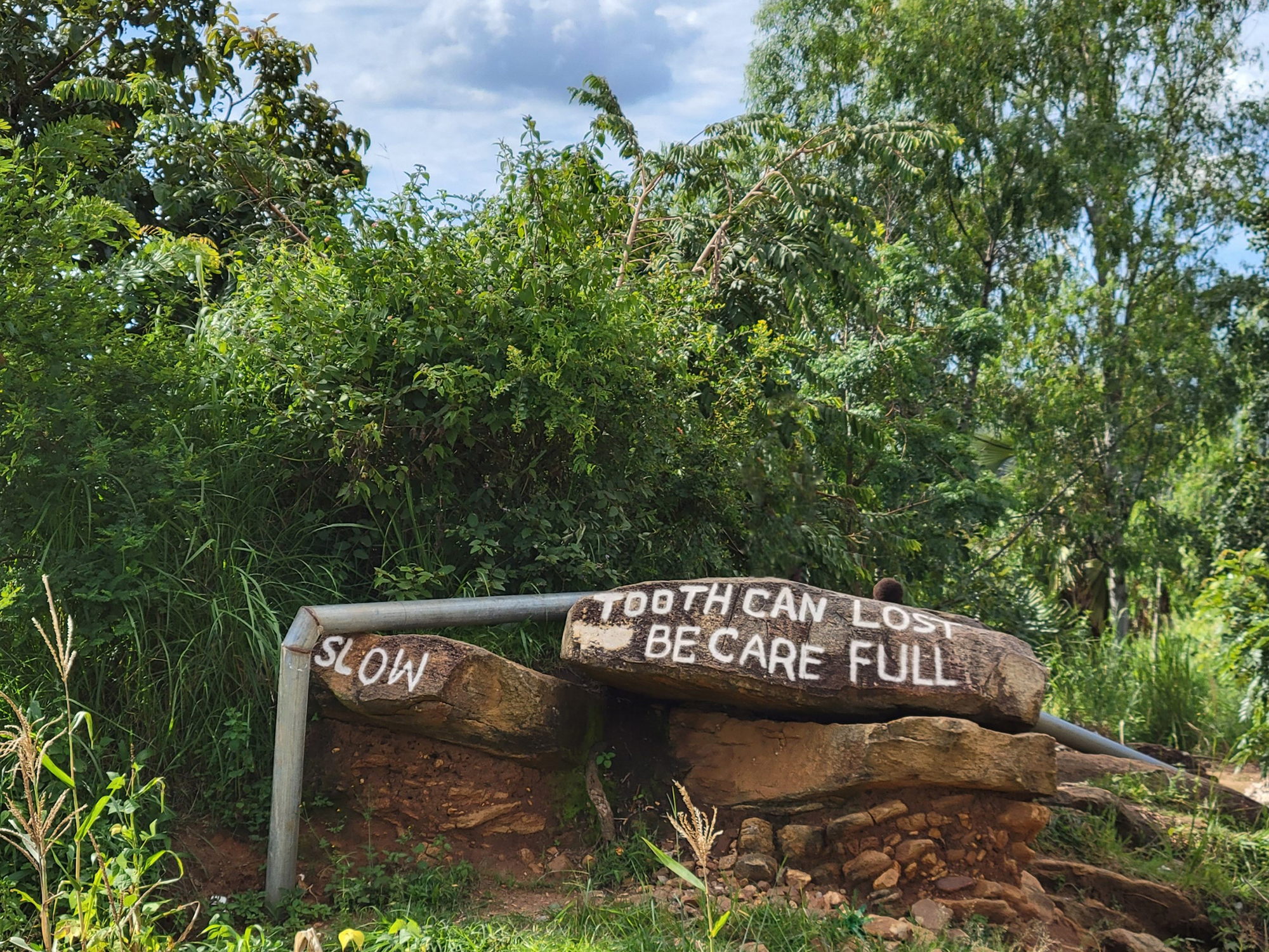 1st Place: Braiden Eilers (EIS 2021) for ‘Tooth can lost be care full’