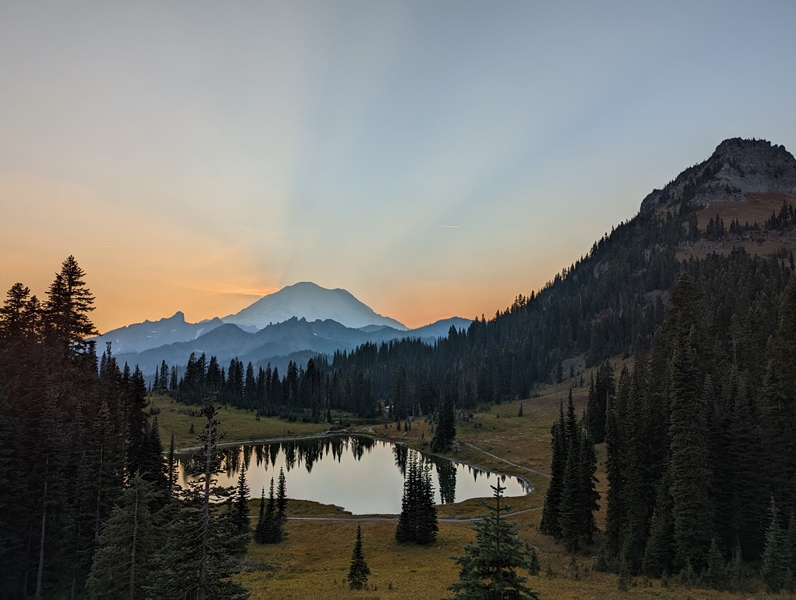 Arran Hamlet (EIS 2022) for ‘Appreciating the context of wildnerness outbreaks’
