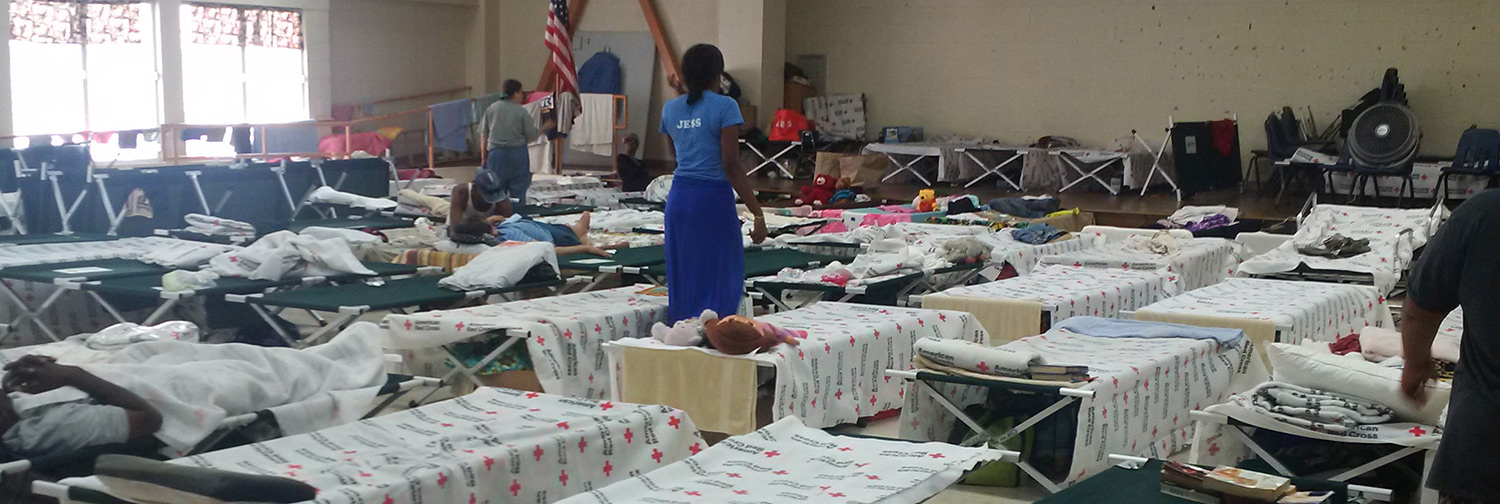 Disaster shelter assessment Bunk room for emergency shelter with cots set up in rows