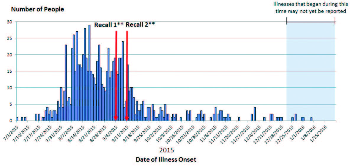 Persons infected with the outbreak strains of Salmonella Poona, by date of illness onset
