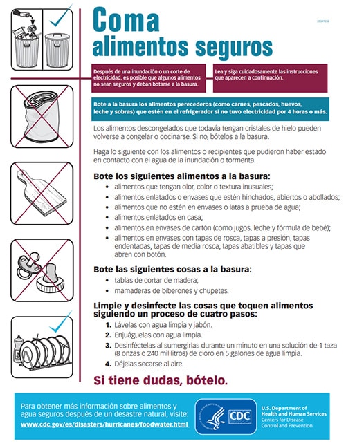 Coma alimentos seguros