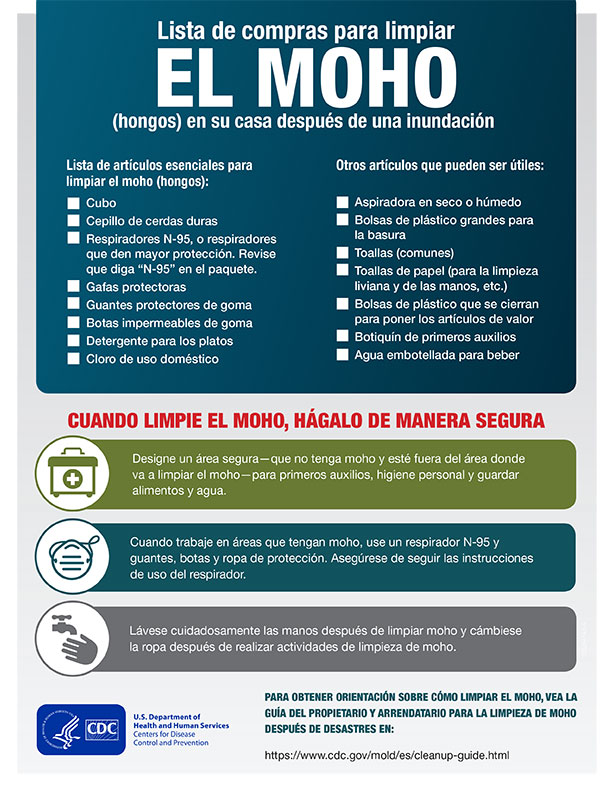 Lista de compras para limpiar el moho (hongos) en su casa después de una inundación