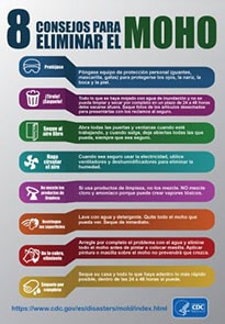 8 consejos para eliminar el moho