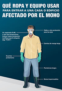 QUÉ ROPA Y EQUIPO USAR PARA ENTRAR A UNA CASA O EDIFICIO AFECTADO POR EL MOHO