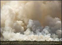 disasters_wildfire_cleanup01_210px Foto de un campo ardiendo sin llamas