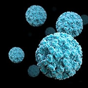 illustration of norovirus for image carousel