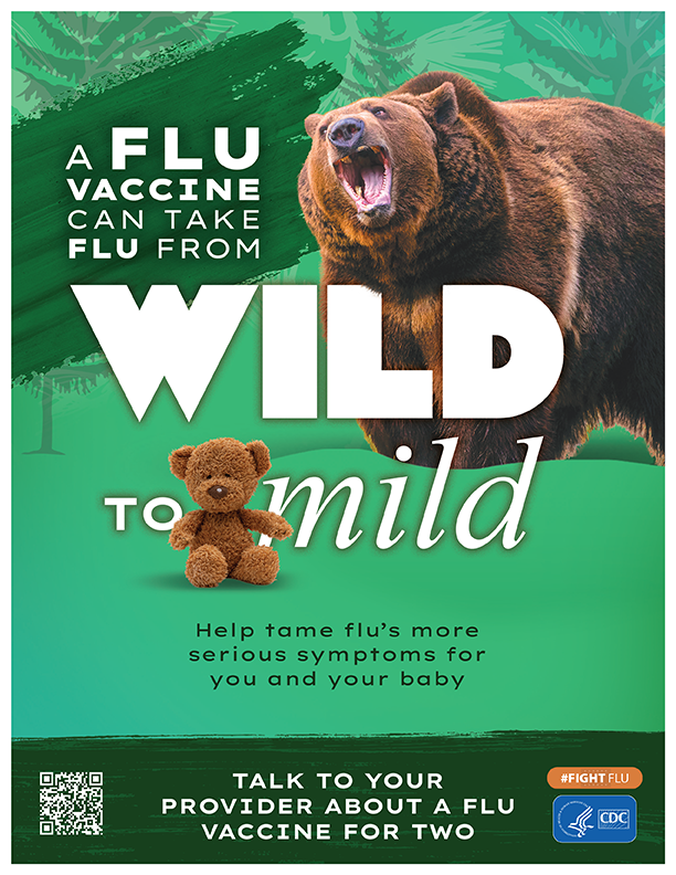 Wild to Mild Bear Wild to Mild Bear