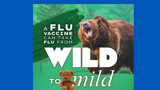 Wild to Mild Bear Wild to Mild Bear