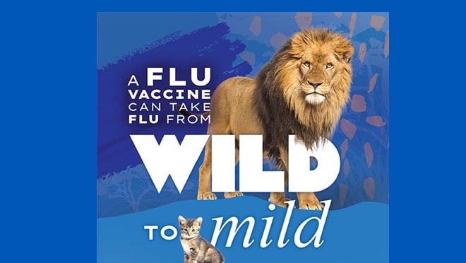 Wild to Mild Lion A flu vaccine can take flu from Wild to Mild. Parents: Help tame flu's more serious symptoms if your child gets sick.