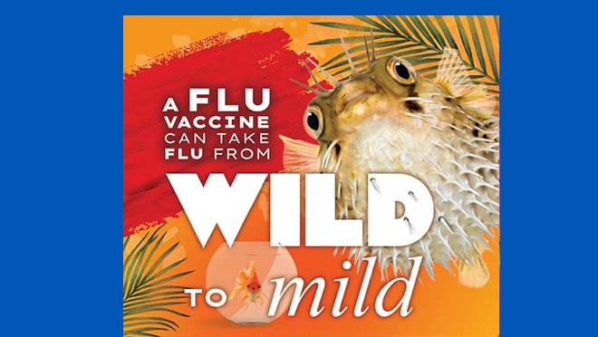 Wild to Mild Pufferfish A flu vaccine can take flu from Wild to Mild. Flu can make certain health conditions worse, even if well-managed. Ask about a flu vaccine to help tame the wildest flu symptoms.
