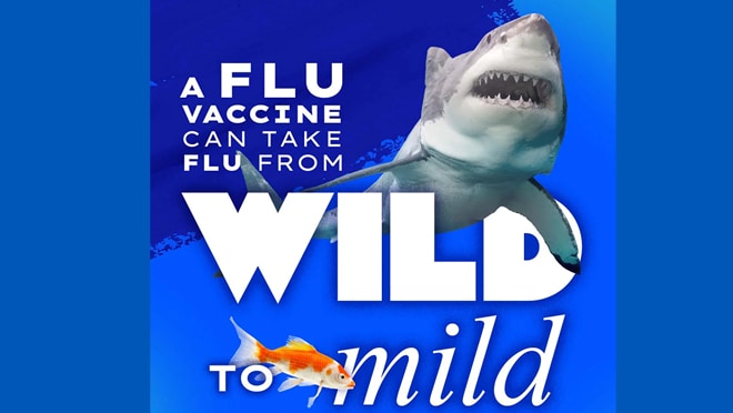 Wild to Mild Shark A flu vaccine can take flu from wild to mild. A flu vaccine is the best way to tame flu.