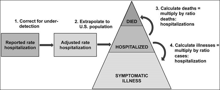 Influenza-Burden-Estimates