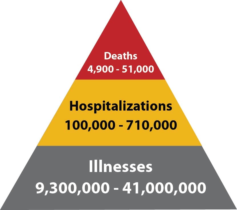 graphic of flu burden cases
