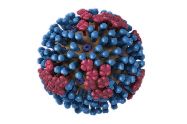 Reported Human Infections with Bird Flu Viruses flu virus graphic