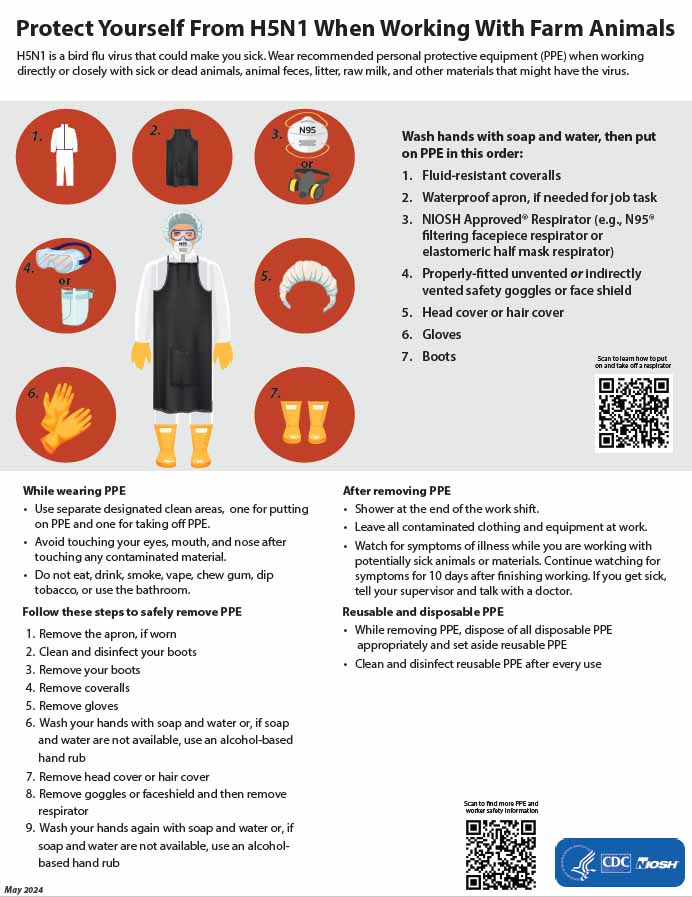 Thumbnail image of 'Protect Yourself From H5N1 When Working With Farm Animals' PDF
