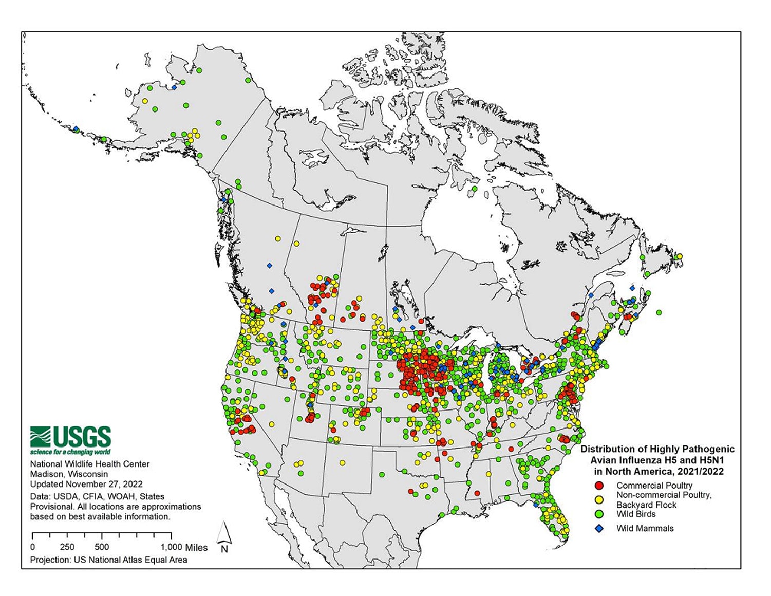 Distribution of Highly Pathogenic Avian Influenza H5 an H5N1 in North America, 2021/2022 map of North America with different color dots showing the Distribution of Highly Pathogenic Avian Influenza H5 an H5N1 in North America, 2021/2022