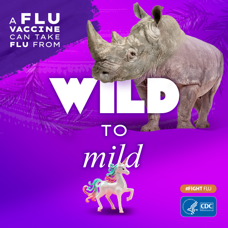 rhino with text: A flu vaccine can take flu from wild to mild #fightflu CDC logo