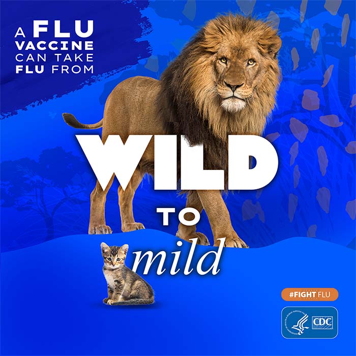 A flu vaccine can take flu from wild to mild Lion and kitten with text: A flu vaccine can take flu from wild to mild #fightflu CDC logo