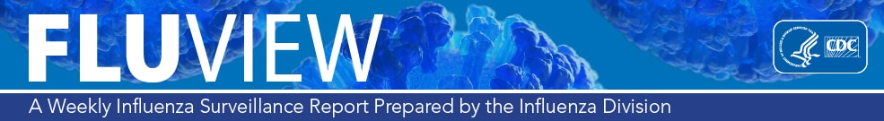 FluView a weekly influenza surveillance report prepared by the Influenza Division FluView a weekly influenza surveillance report prepared by the Influenza Division