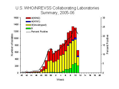 INFLUENZA Virus Isolated