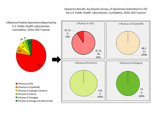 Genetic Characterization