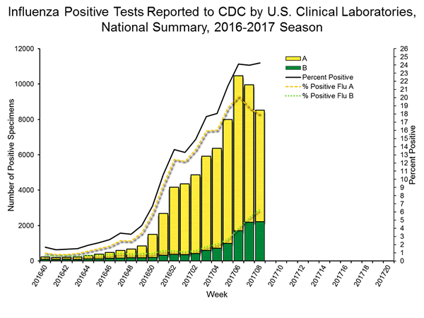 INFLUENZA Virus Isolated