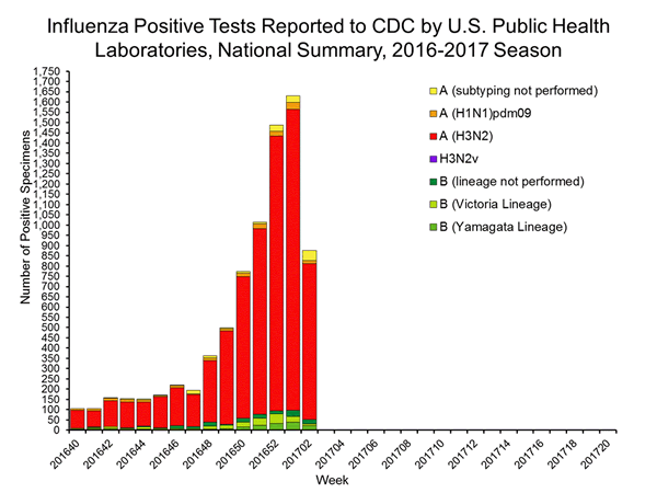 INFLUENZA Virus Isolated