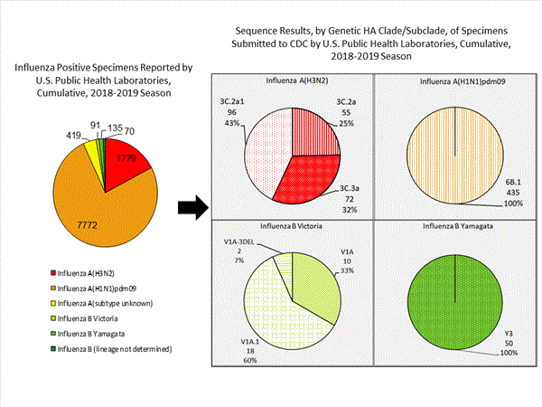 Genetic Characterization