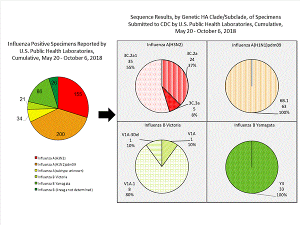 Genetic Characterization