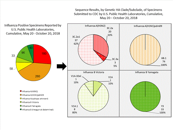 Genetic Characterization