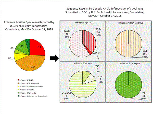 Genetic Characterization