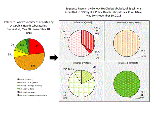 Genetic Characterization