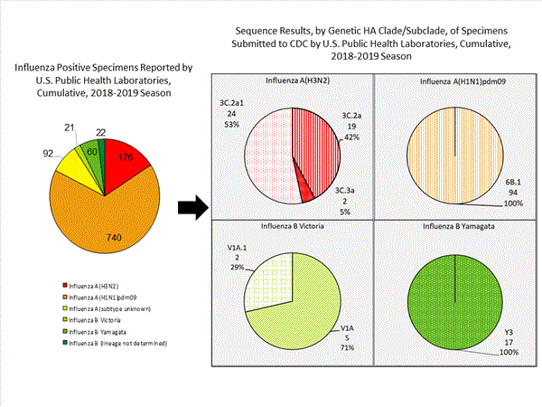 Genetic Characterization