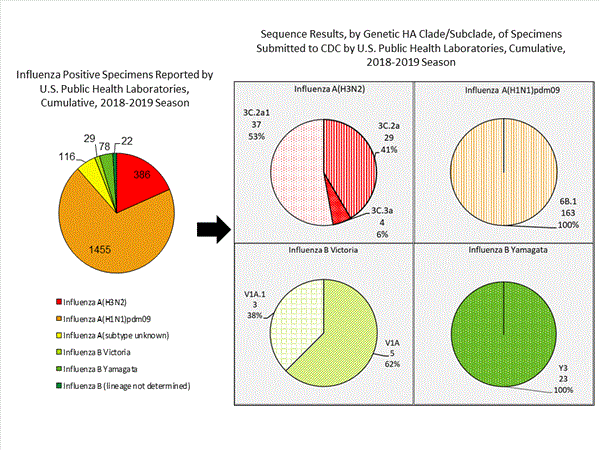 Genetic Characterization