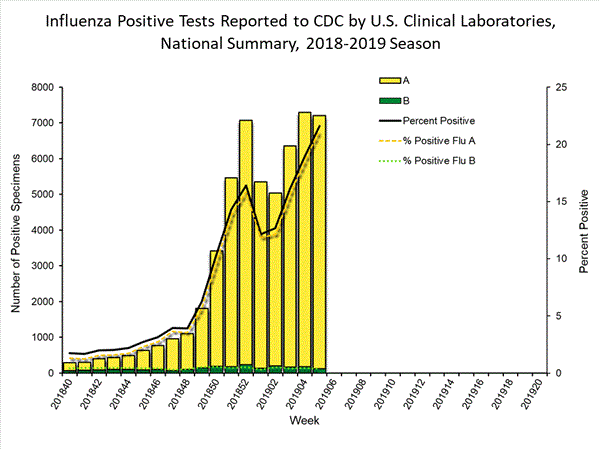 INFLUENZA Virus Isolated
