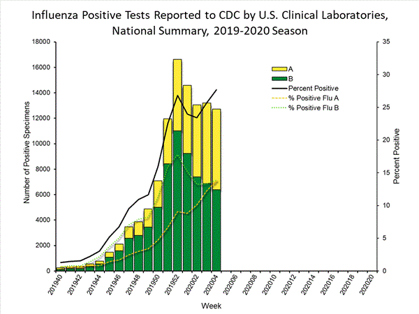 INFLUENZA Virus Isolated