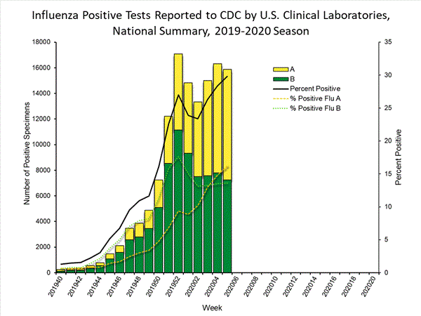 INFLUENZA Virus Isolated