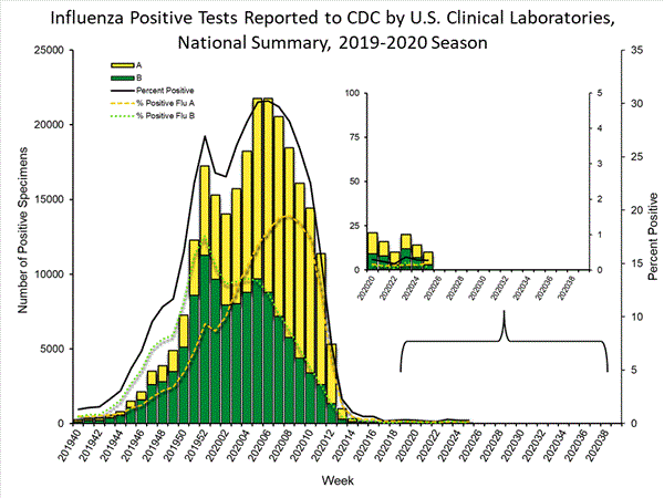 INFLUENZA Virus Isolated