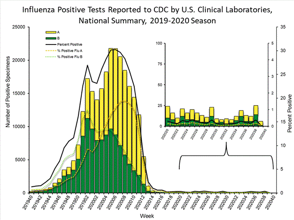 INFLUENZA Virus Isolated