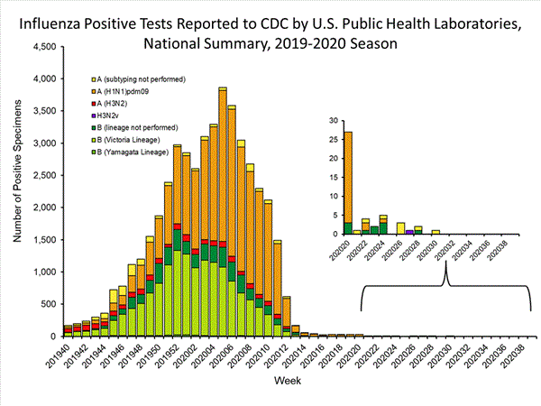 INFLUENZA Virus Isolated